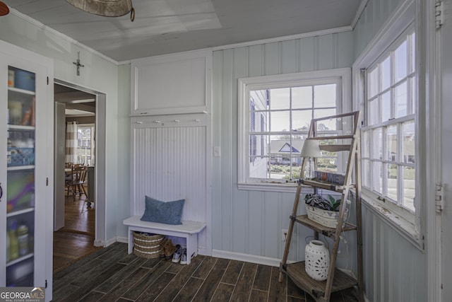 mudroom with crown molding and dark hardwood / wood-style floors