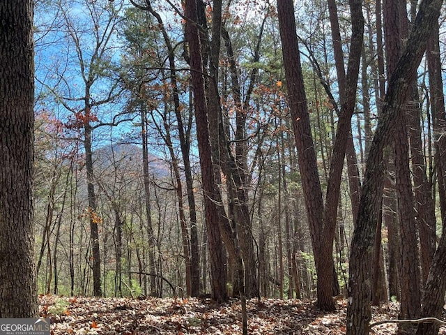 LOT69 Tipton Springs Rd, Morganton GA, 30560 land for sale