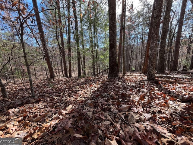 Listing photo 2 for LOT69 Tipton Springs Rd, Morganton GA 30560