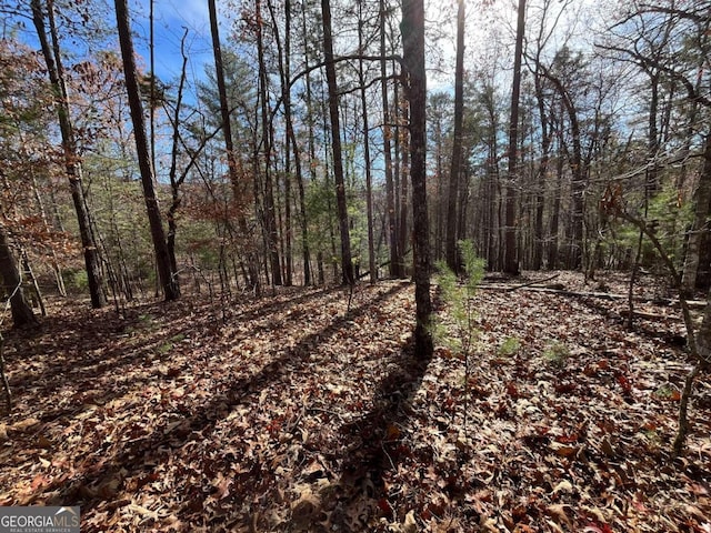 Listing photo 3 for LOT69 Tipton Springs Rd, Morganton GA 30560