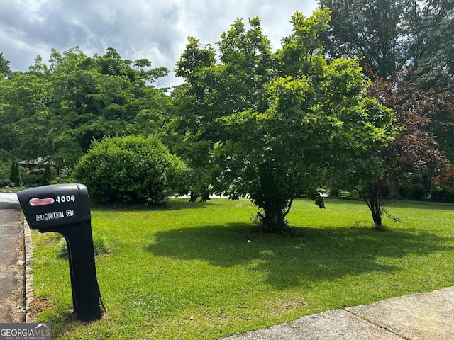 view of property's community featuring a yard