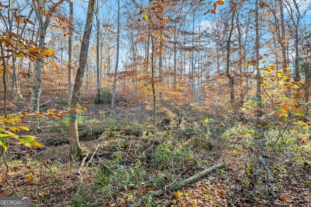 view of local wilderness