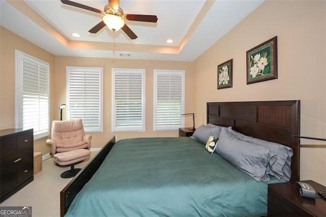 bedroom featuring a tray ceiling and ceiling fan