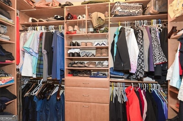 view of spacious closet