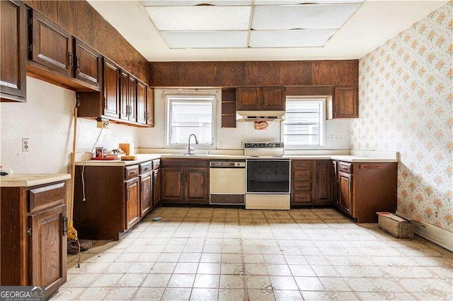 kitchen featuring dark brown cabinets, white appliances, a wealth of natural light, and sink