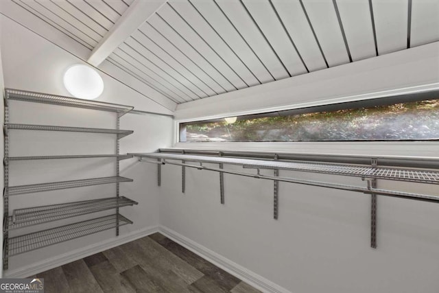 spacious closet with dark hardwood / wood-style flooring and vaulted ceiling with beams