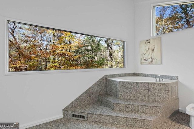 bathroom featuring plenty of natural light and a tub