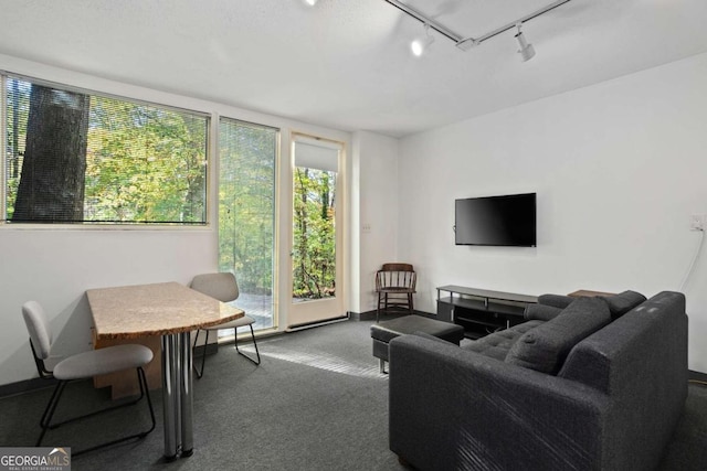 carpeted living room featuring rail lighting