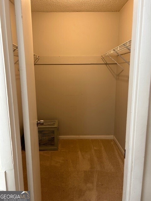 walk in closet with carpet