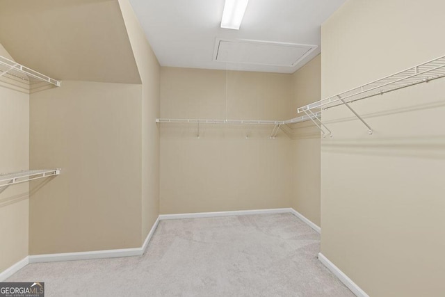 727 Pear Grove Pl, Marietta, GA 30066 - walk in closet with attic access and carpet floors
