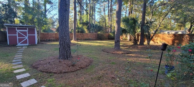 view of yard featuring a storage shed