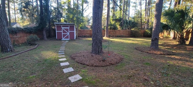 view of yard with a storage shed