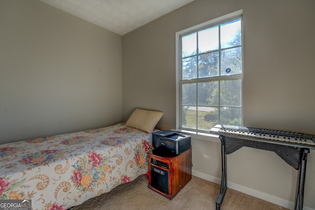 carpeted bedroom with a textured ceiling and multiple windows