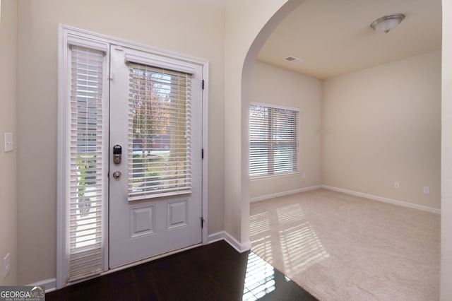 foyer entrance with a wealth of natural light