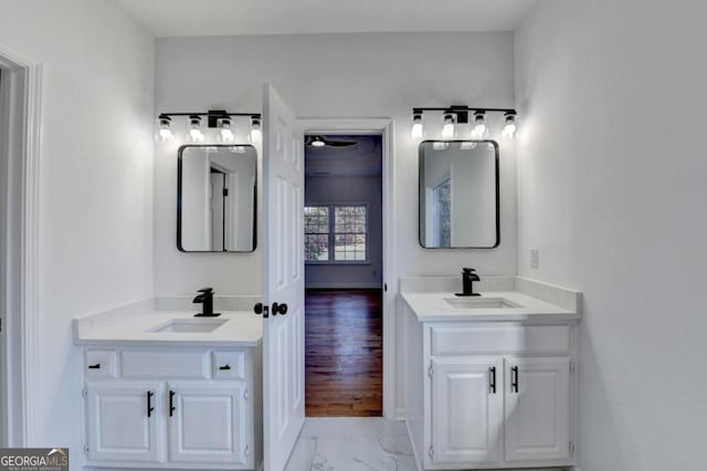 bathroom with hardwood / wood-style floors and vanity