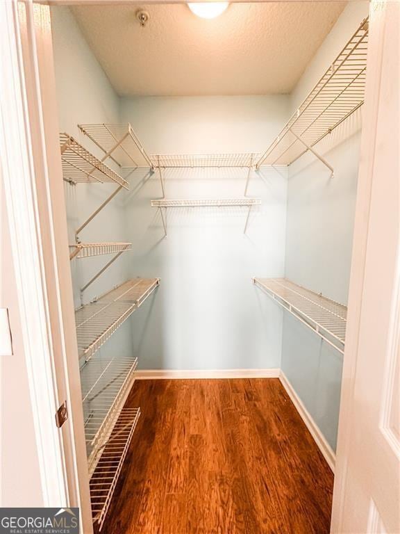 walk in closet with wood-type flooring