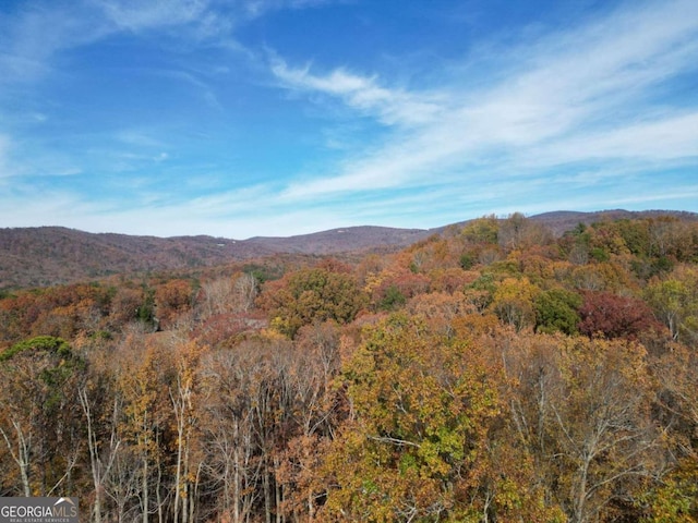 view of mountain feature