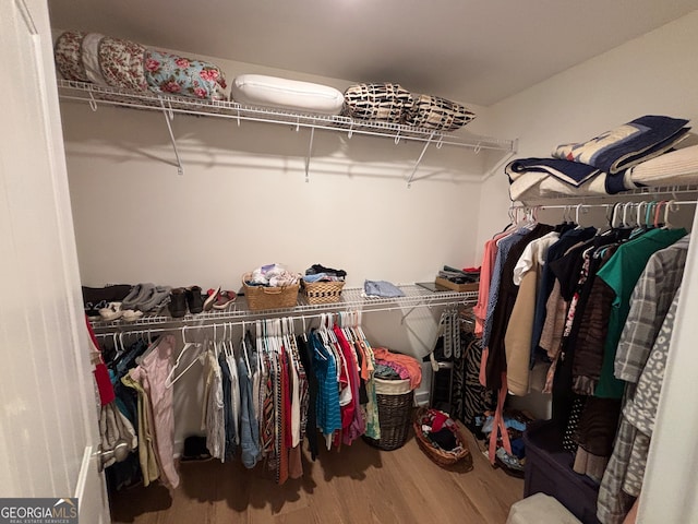 spacious closet featuring hardwood / wood-style flooring