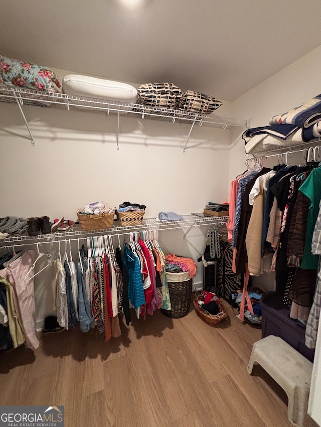 spacious closet featuring wood-type flooring