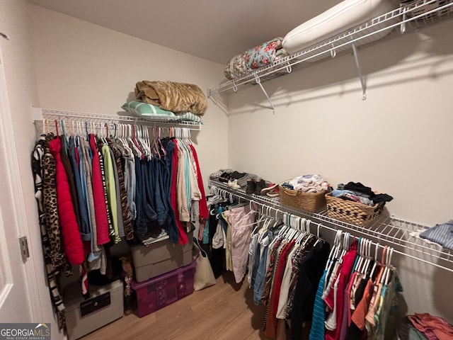 walk in closet with hardwood / wood-style flooring