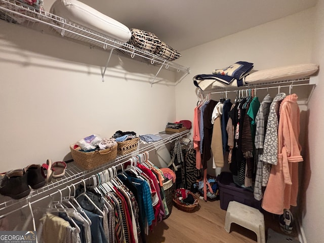 spacious closet with hardwood / wood-style floors