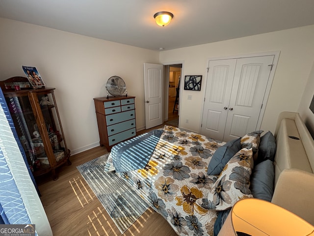 bedroom with wood-type flooring and a closet