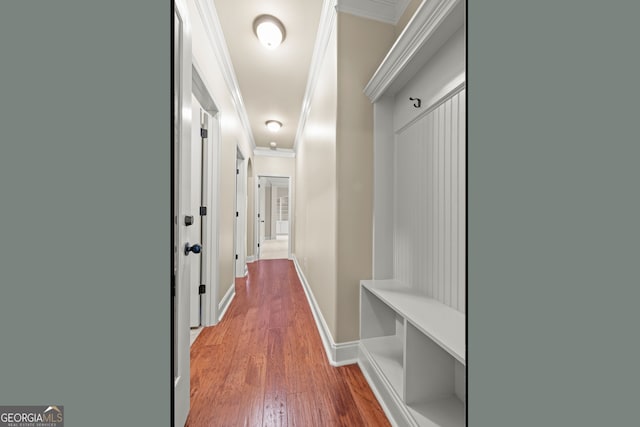 hallway featuring wood-type flooring and crown molding