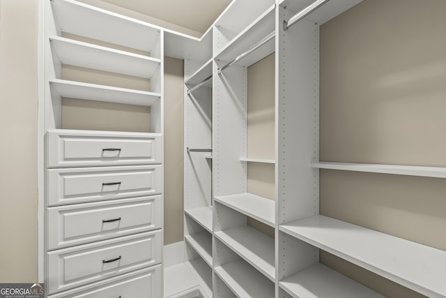 view of spacious closet