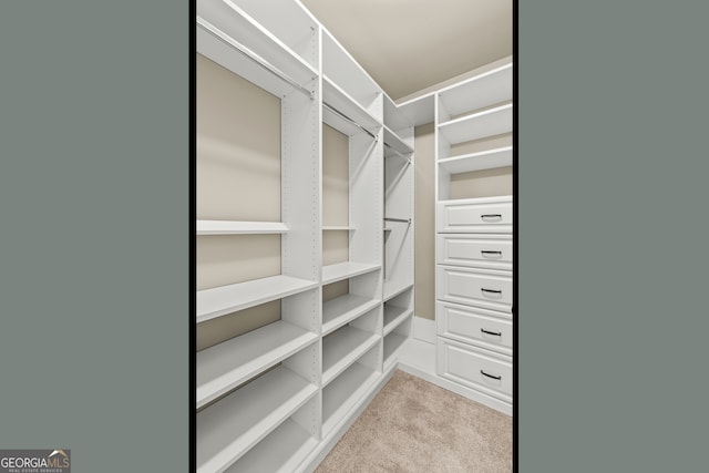 walk in closet featuring light colored carpet