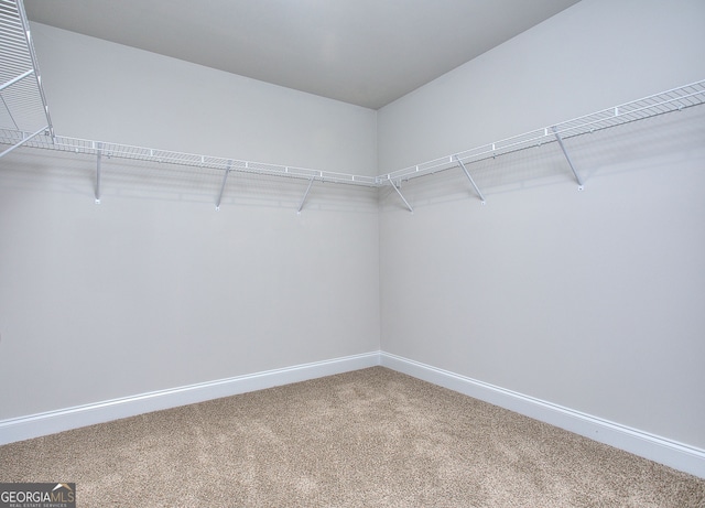 1091 Boulder Dr, Gray, GA 31032 - spacious closet with carpet floors