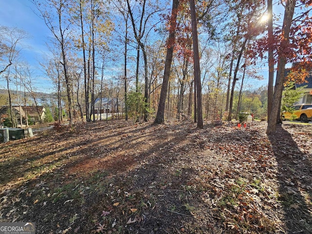 Listing photo 2 for 173 Edgewater Trl S, Toccoa GA 30577