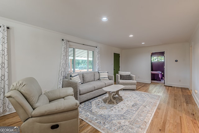 living room featuring light hardwood / wood-style floors and ornamental molding