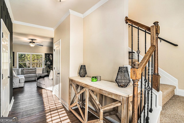 interior space featuring crown molding and dark wood-type flooring