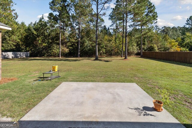 view of yard featuring a patio