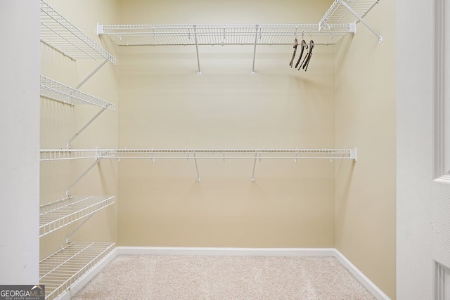 spacious closet featuring carpet floors