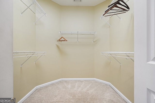 spacious closet featuring carpet floors