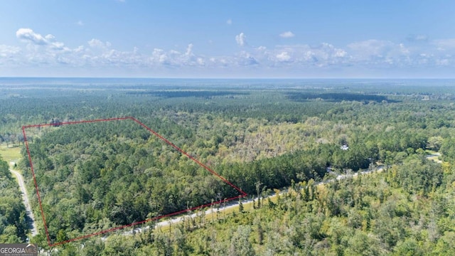 2601 Buck Swamp Rd, Brunswick GA, 31523 land for sale