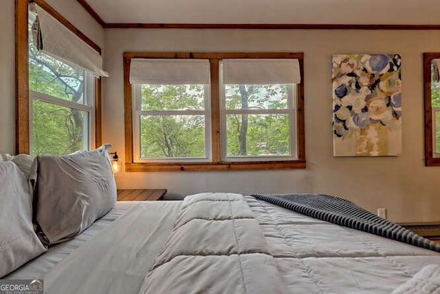 bedroom with ornamental molding