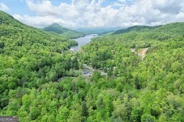 drone / aerial view featuring a water and mountain view