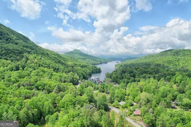 bird's eye view with a water and mountain view