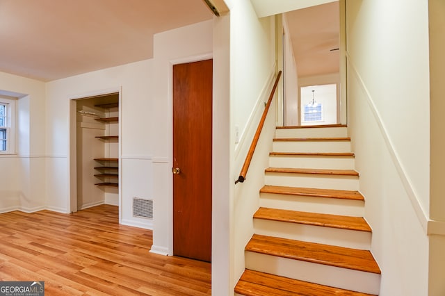 staircase featuring hardwood / wood-style flooring and a wealth of natural light