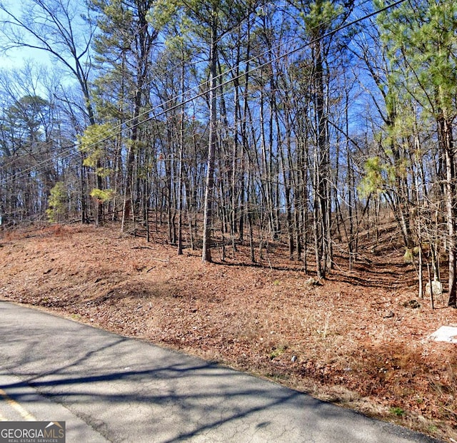 Listing photo 2 for 0 Fire Tower Rd, Rome GA 30161