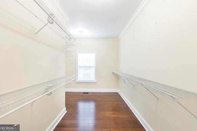 spacious closet featuring dark wood-type flooring