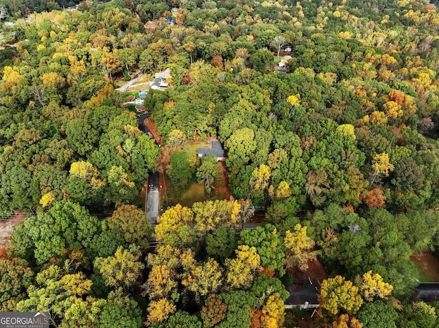 drone / aerial view