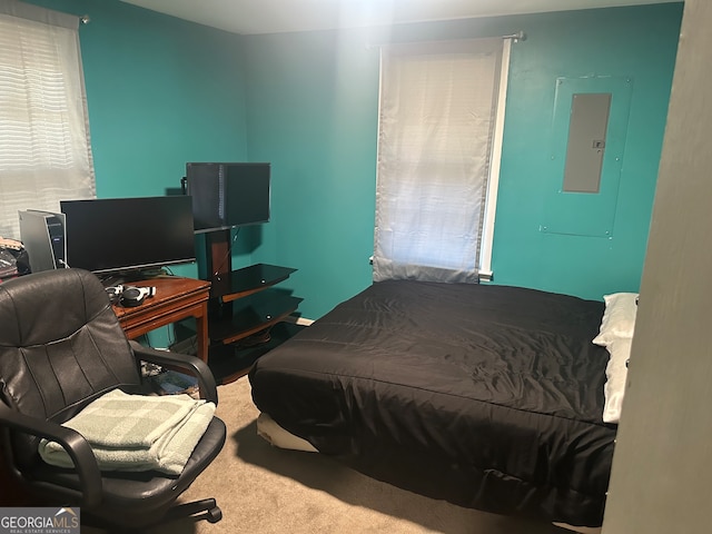 carpeted bedroom with electric panel