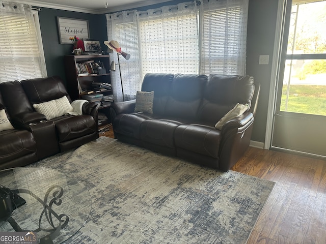 living room with hardwood / wood-style flooring, crown molding, and a healthy amount of sunlight