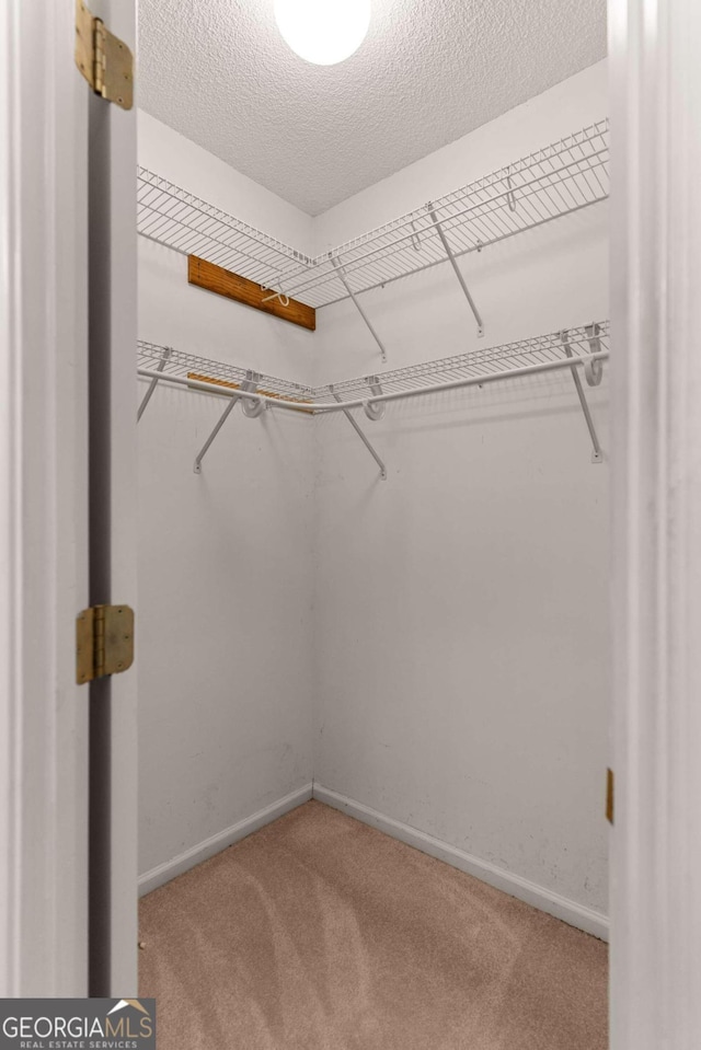 walk in closet with carpet flooring