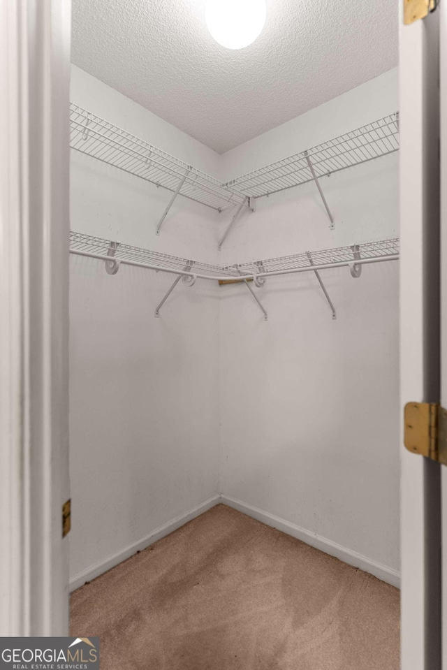 spacious closet with carpet floors