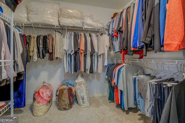 walk in closet featuring carpet flooring