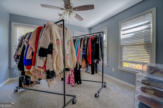 walk in closet featuring carpet and ceiling fan